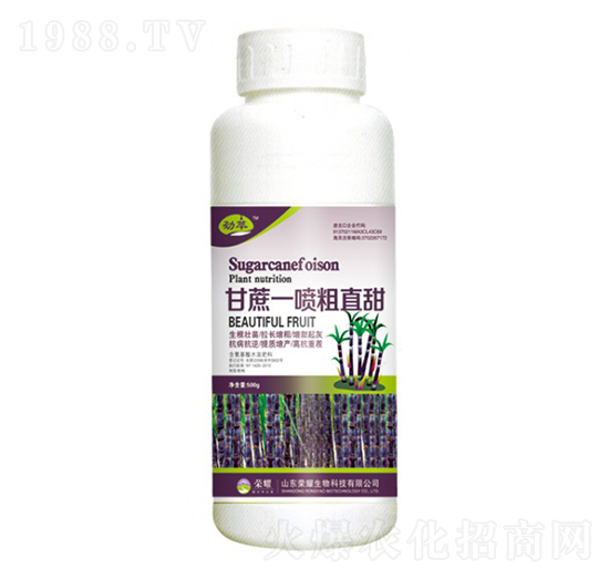����һ����ֱ��500g��-����-�sҫ�r(n��ng)�I(y��)