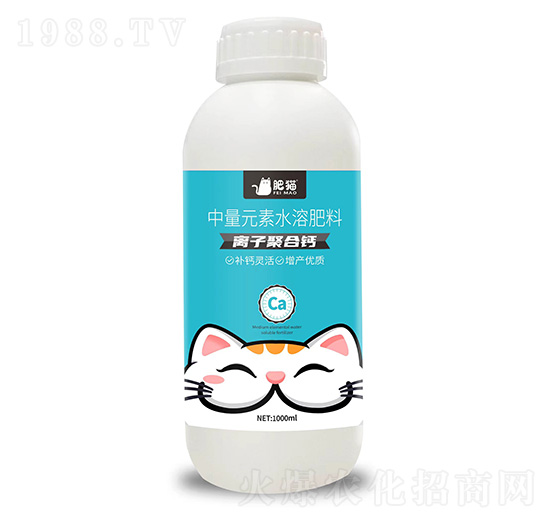 ����Ԫ��ˮ�ܷ���-�x�Ӿۺ��}-��؈