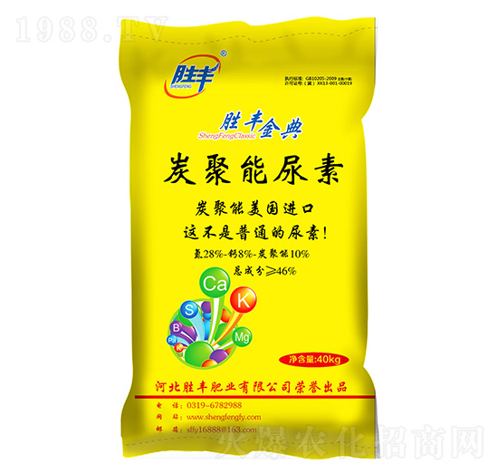 ̿��������-���S���-���S�ʘI(y��)