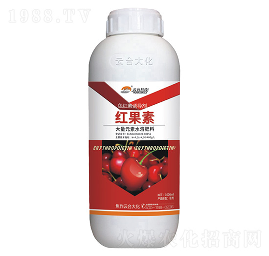 ɫ�t���T����-�t����-���_��