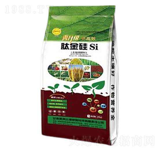 �����{�턩-�Ľ��-��������ޏ�