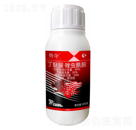 40%�����塤���x����-�݊Z-����¡����