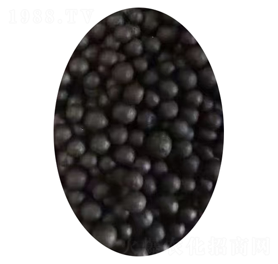 �C���ЙC���w��-���r�r�Y