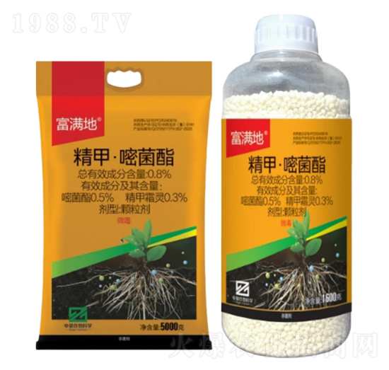 0.8%���ס��׾����w������GR��-���M��-�л�����ƌW