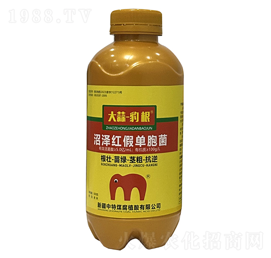 沼澤紅假單胞菌-大蒜·豹根-中特煤