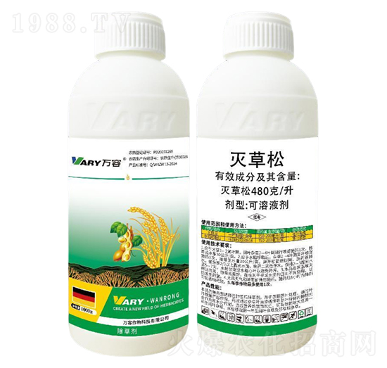 480���������-�f��