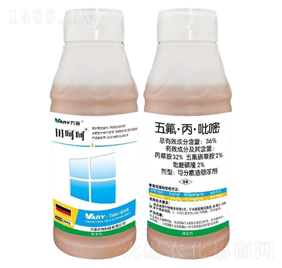 36%�������������-��Ǻ�-�f��