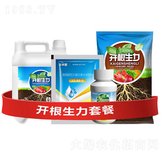 開(kāi)根生力套餐E-云大科技