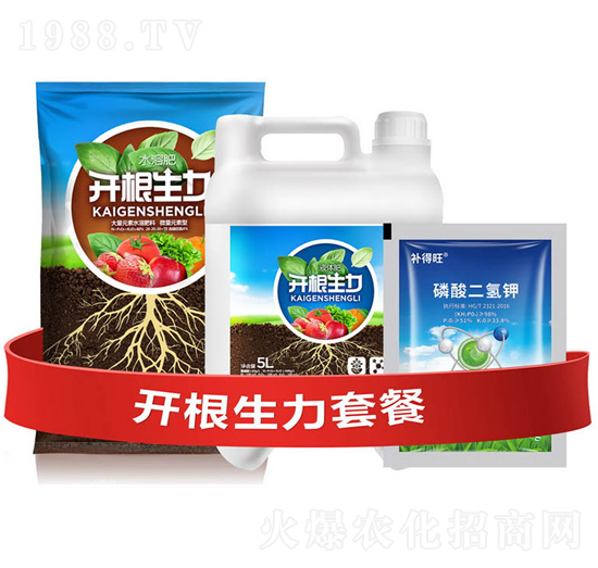 開根生力套餐D-云大科技