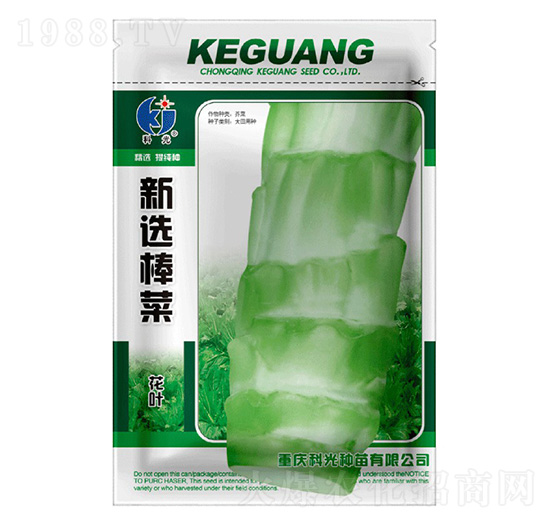 新選棒菜-科光種苗