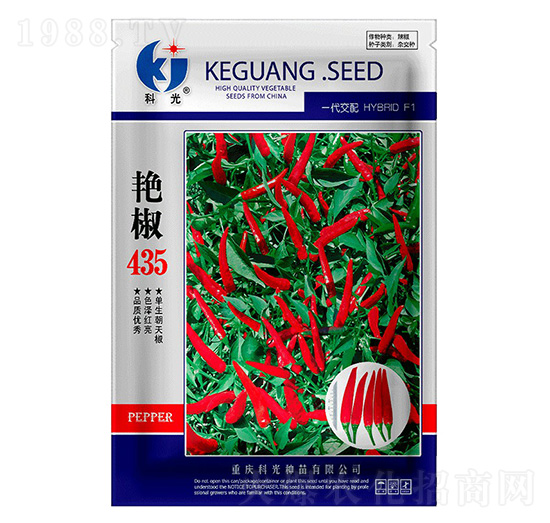 艷椒435辣椒種子-科光種苗