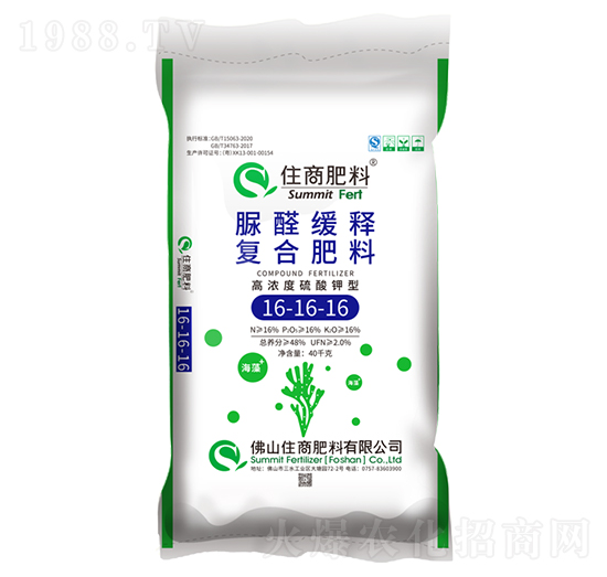 ��ȩ��ጏͺϷ���16-16-16-ס�̷���