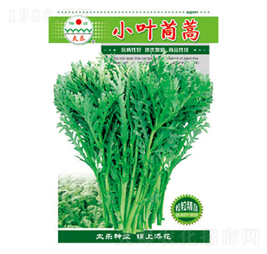 茼蒿種子-小葉茼蒿-太樂(lè)種業(yè)