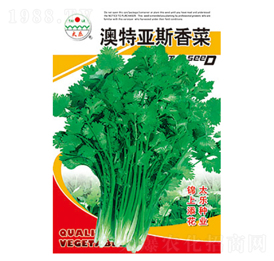 菠菜種子-澳特亞斯菠菜-太樂(lè)種業(yè)