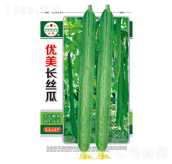 絲瓜種子-優(yōu)美長絲瓜-太樂種業(yè)