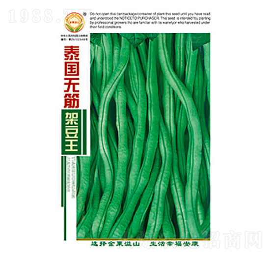 豇豆種子-泰國(guó)無(wú)筋架豆王-太樂(lè)種業(yè)