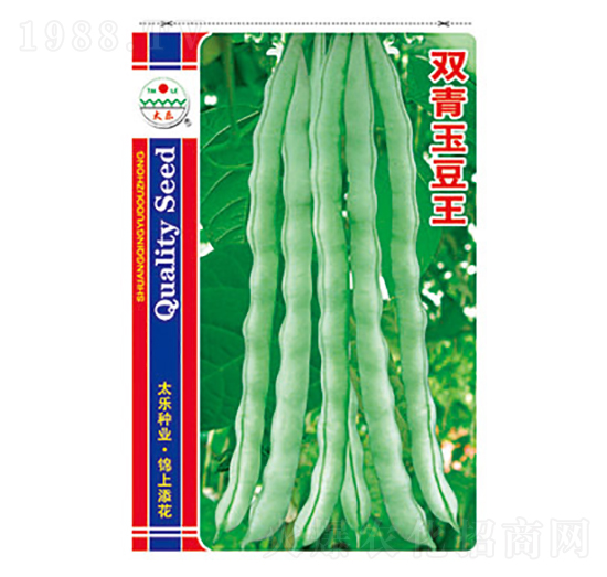 豇豆種子-雙青玉豆王-太樂種業(yè)