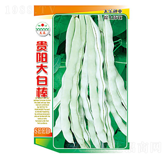 豇豆種子-貴陽大白棒-太樂種業(yè)