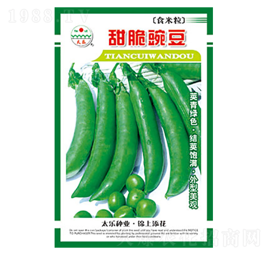 �㶹�N��-����㶹-̫���N�I(y��)