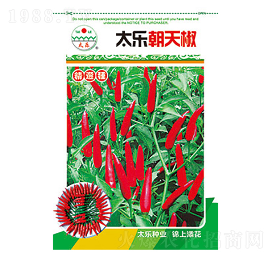 辣椒種子-太樂(lè)朝天椒-太樂(lè)種業(yè)