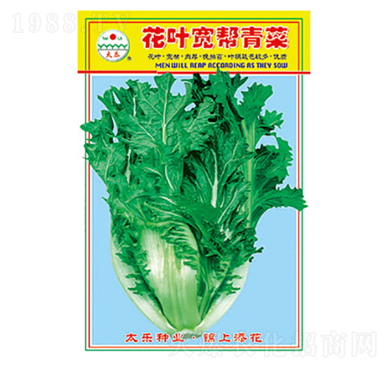 青菜種子-花葉寬幫青菜-太樂(lè)種業(yè)