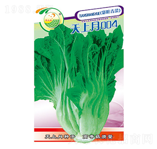 青菜種子-天上月004-太樂種業(yè)