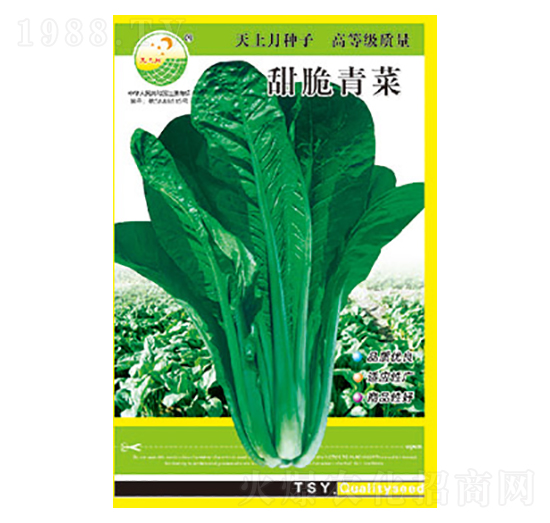 青菜種子-甜脆青菜-太樂種業(yè)
