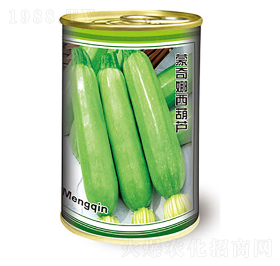 西葫蘆種子-蒙奇娜西葫蘆-太樂(lè)種業(yè)