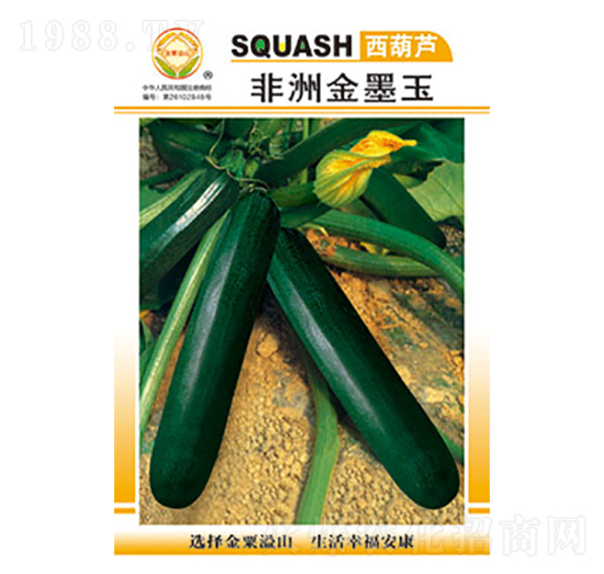 西葫蘆種子-非洲金墨王-太樂(lè)種業(yè)