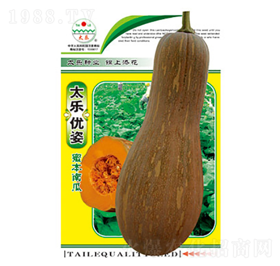 南瓜種子-太樂(lè)優(yōu)姿-太樂(lè)種業(yè)