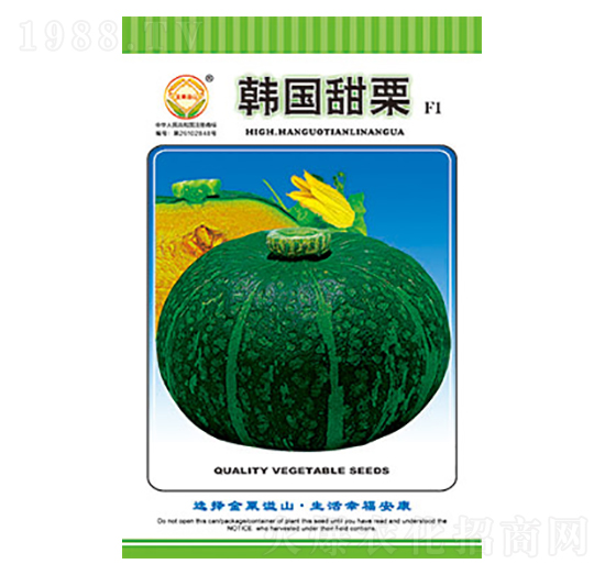 南瓜種子-韓國甜栗-太樂種業(yè)
