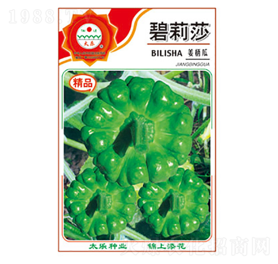 姜柄瓜種子-碧莉莎-太樂種業(yè)