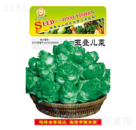 兒菜種子-玉疊兒菜-太樂種業(yè)