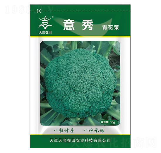 青花菜種子-意秀-天隆農業(yè)