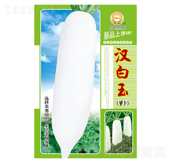 蘿卜種子-漢白玉-太樂(lè)種業(yè)