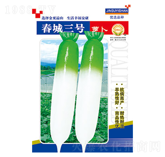 蘿卜種子-春城三號(hào)-太樂(lè)種業(yè)