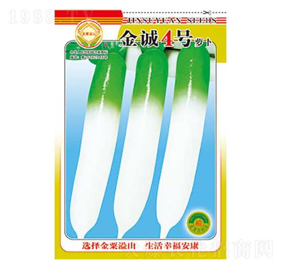 蘿卜種子-金誠(chéng)4號(hào)-太樂種業(yè)