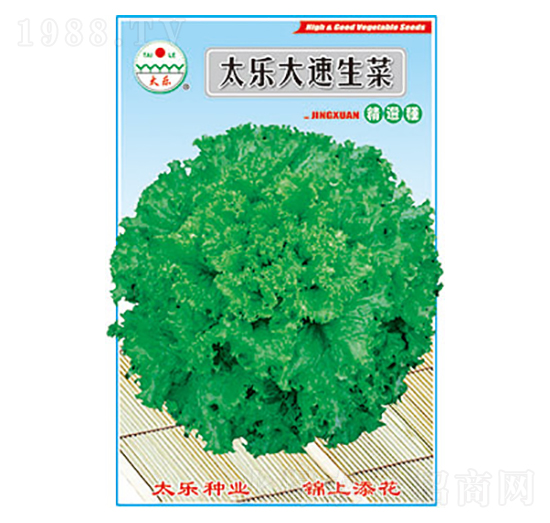 生菜種子-太樂(lè)大速生菜-太樂(lè)種業(yè)