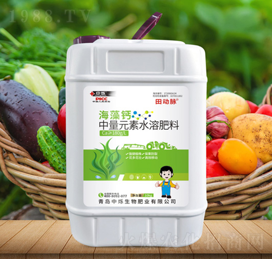 �����}-���(d��ng)�}-�Рq����