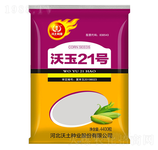 沃玉21號-玉米種子-沃土種業(yè)