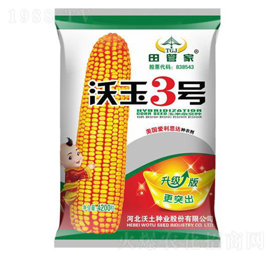 沃玉3號-玉米種子-沃土種業(yè)