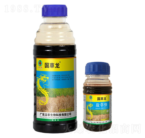 20%���ݿ�-��(gu��)����-�V�|���r(n��ng)