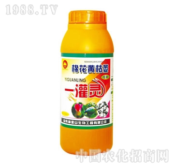 金山生物-棉花黃枯萎一灌靈