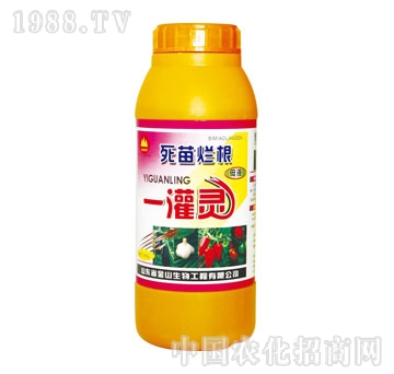 金山生物-死苗爛根一灌靈