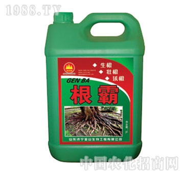 金山生物-根霸沖施肥