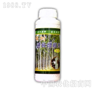 金山生物-桉樹速長增粗劑