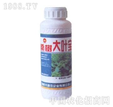 金山生物-桑樹大葉寶