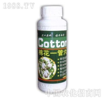 金山生物-棉花一管六