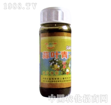 金山生物-蒜葉青