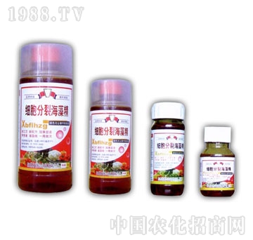 金山生物-細(xì)胞分裂海藻精